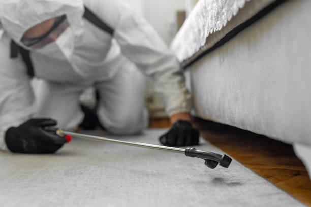 Professional Bed Bug Control technician working in Harrington, DE